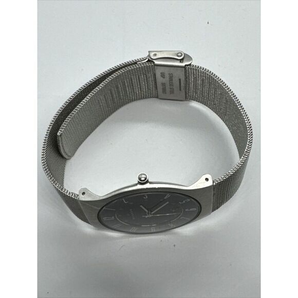 Skagen SKW6064 Men\'s Silver Stainless Steel Mesh Analog Dial Quartz Watch AEA166 main image 8